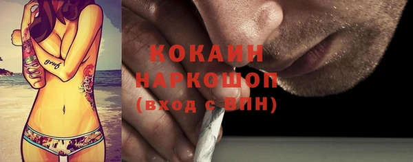крисы Армянск