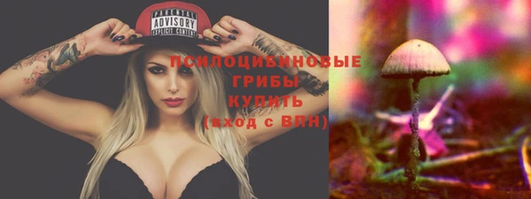 крисы Армянск