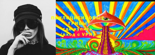 крисы Армянск
