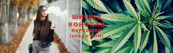 крисы Армянск