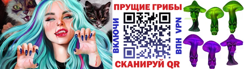 Псилоцибиновые грибы GOLDEN TEACHER  Тында 
